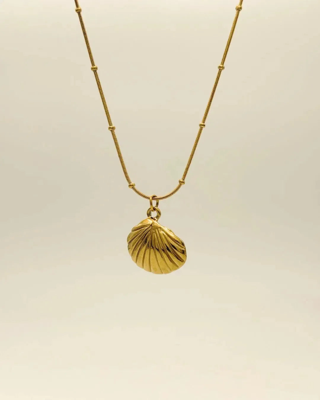 Marine Style Starfish Conch Shell Necklace - Diatoms