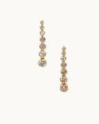 Luxurious Diamond Duet Earrings - Diatoms