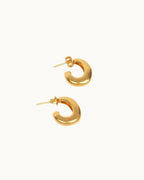 Prestigious Golden Luster Earrings - Diatoms