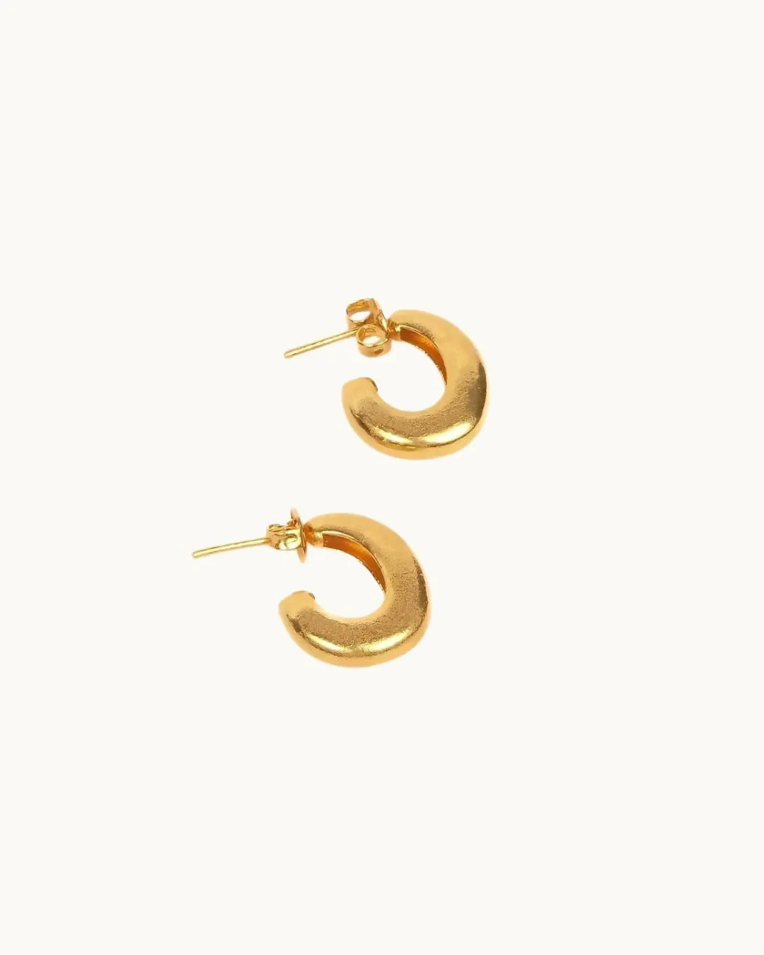Prestigious Golden Luster Earrings - Diatoms