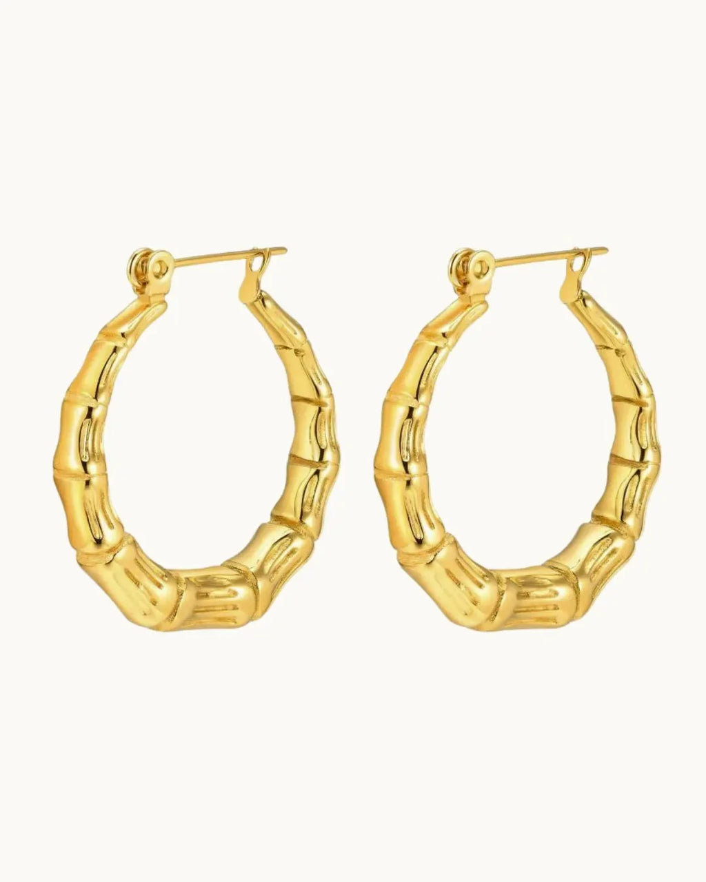 Radiant Gold Circle Earrings - Diatoms