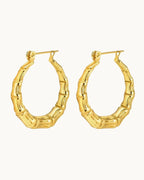Radiant Gold Circle Earrings - Diatoms