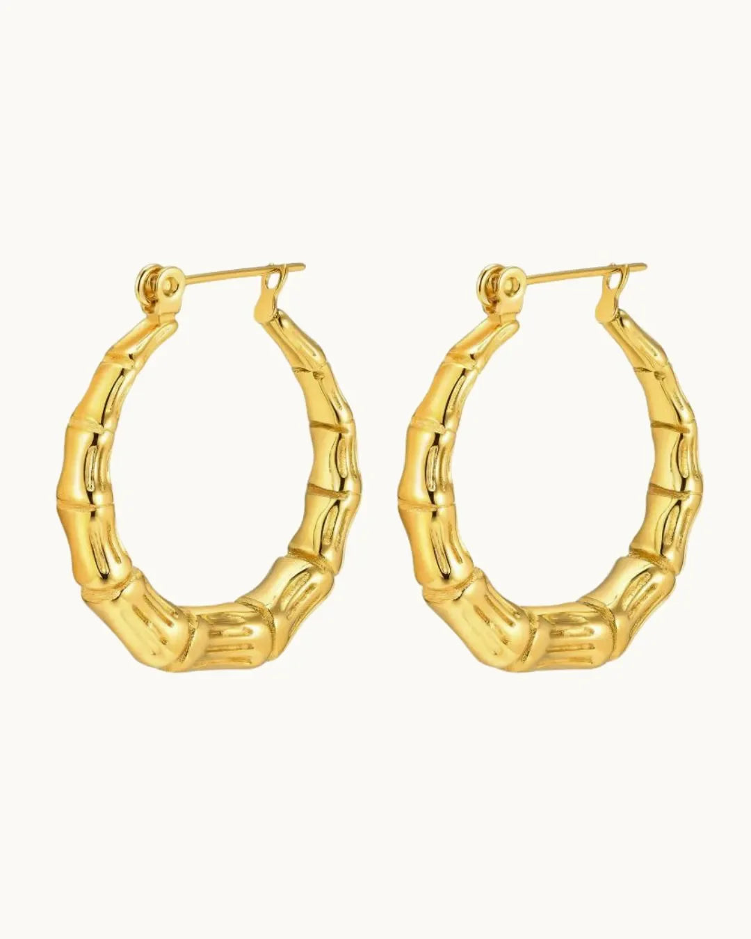 Radiant Gold Circle Earrings - Diatoms