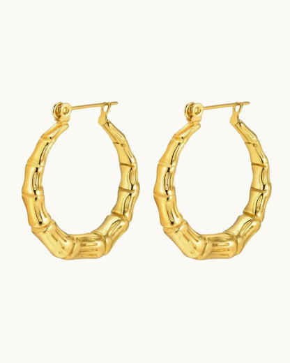Radiant Gold Circle Earrings - Diatoms