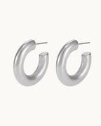 Exquisite Silver Circles Earrings - Diatoms