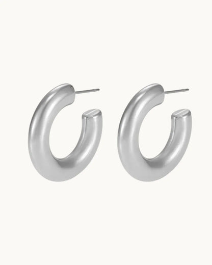 Exquisite Silver Circles Earrings - Diatoms