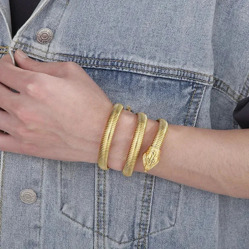 Snake Coil Inspired Unisex Bangle - Diatoms