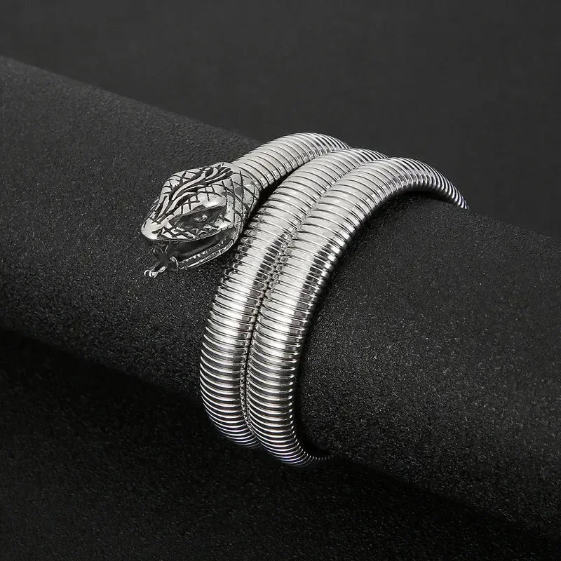 Snake Coil Inspired Unisex Bangle - Diatoms