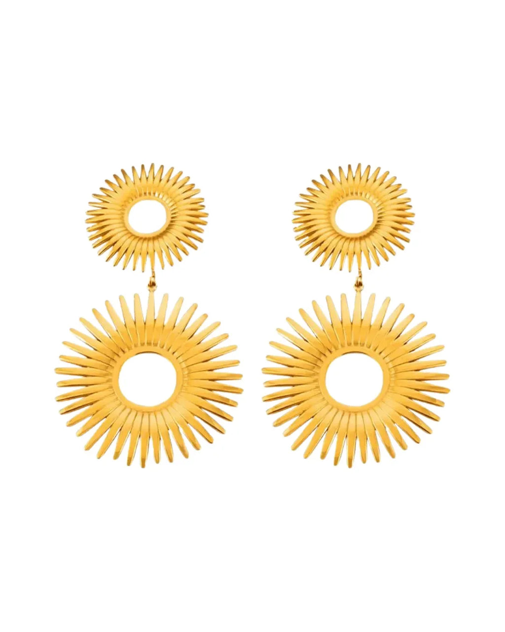 Nature Artistry Chunky Earrings - Diatoms