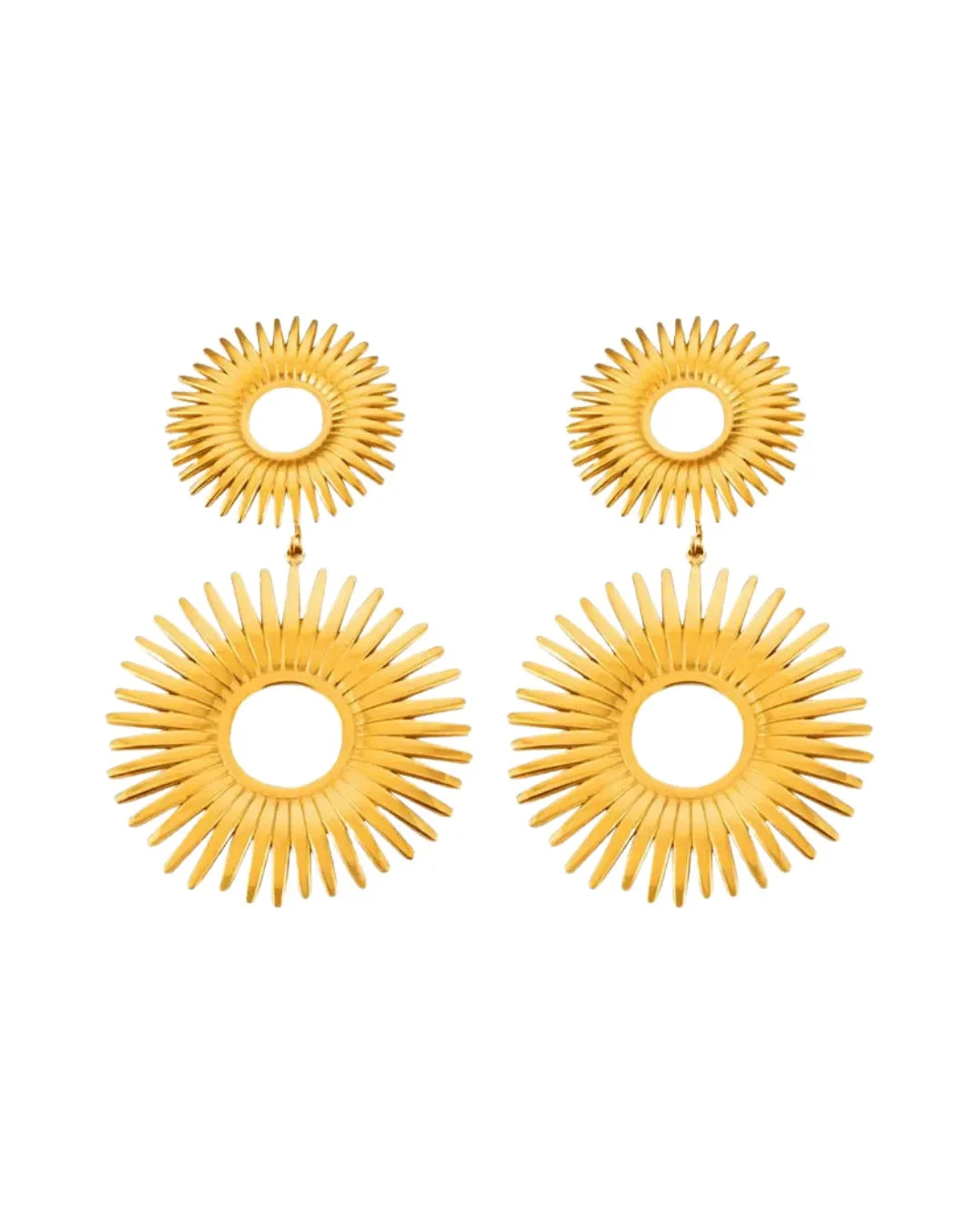 Nature Artistry Chunky Earrings - Diatoms