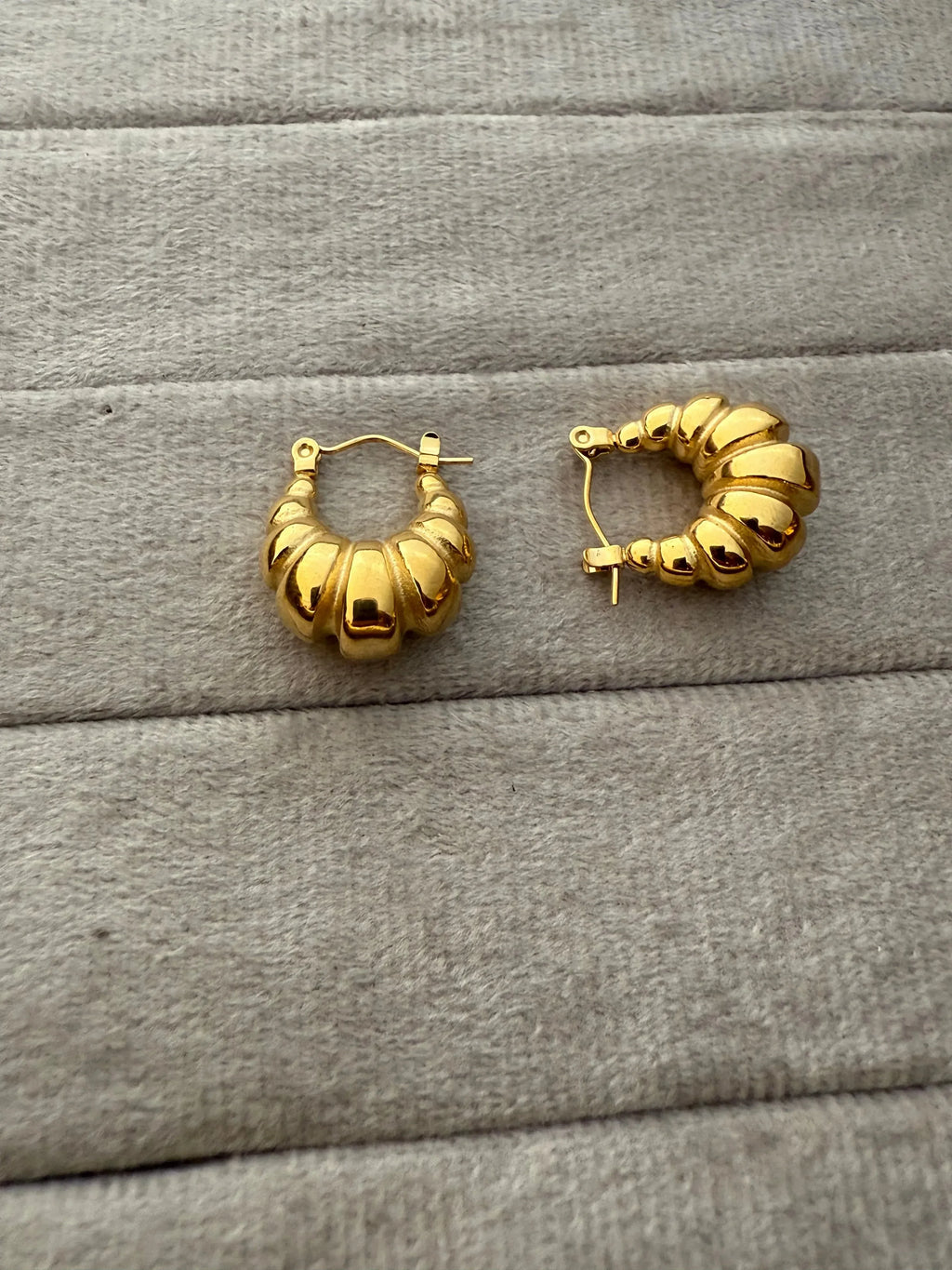 U Shape Earrings - Diatoms