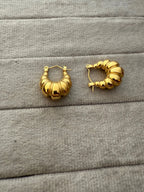 U Shape Earrings - Diatoms