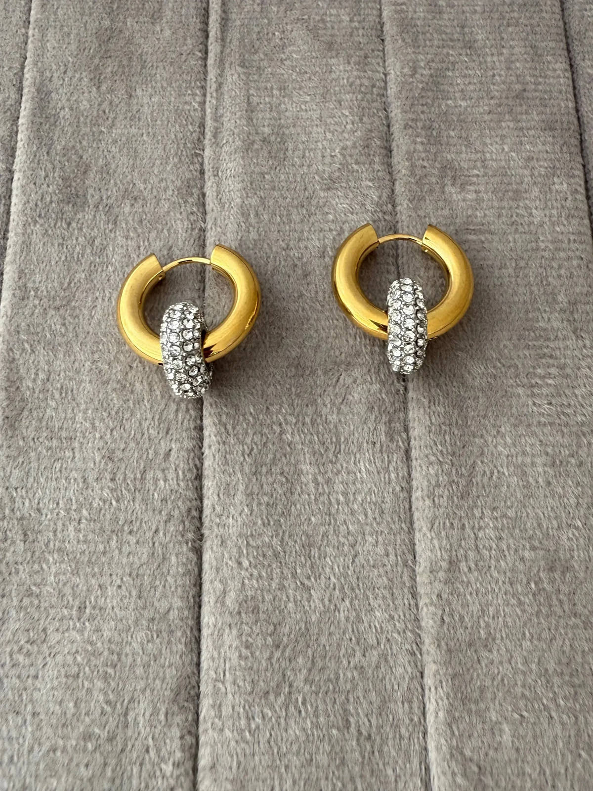 Angel Hoops Earrings - Diatoms