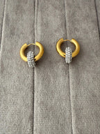 Angel Hoops Earrings - Diatoms