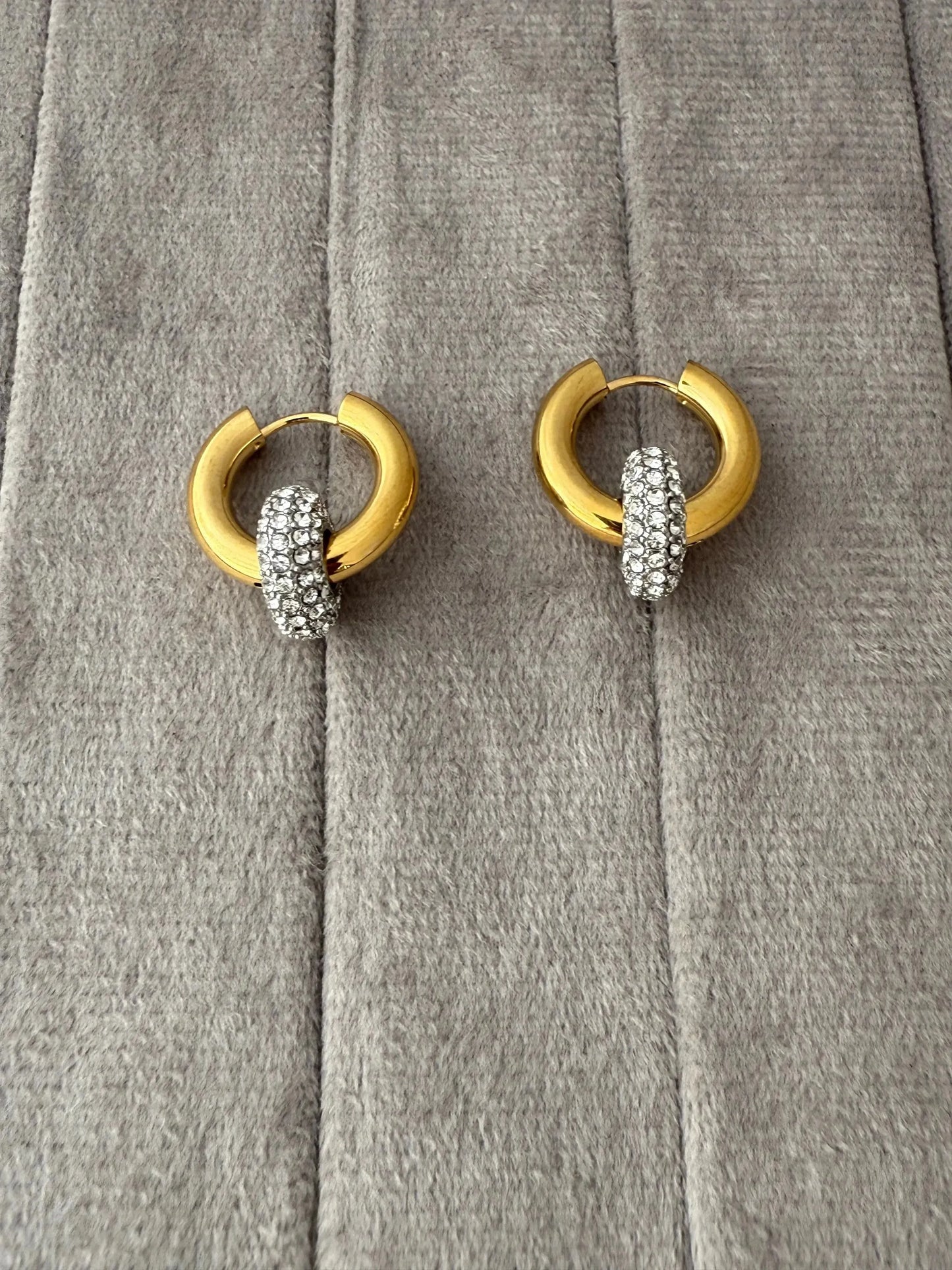 Angel Hoops Earrings - Diatoms