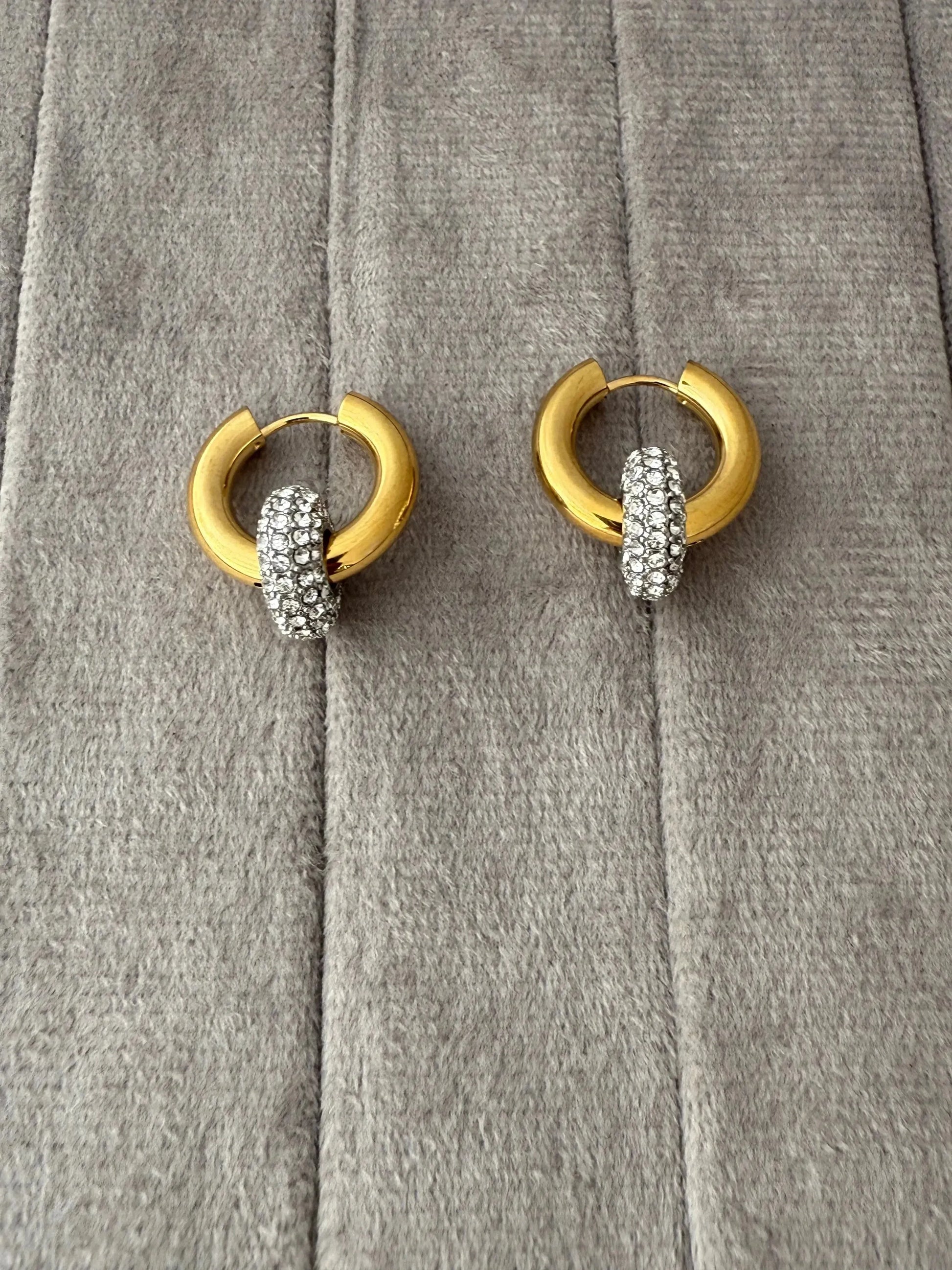 Angel Hoops Earrings - Diatoms