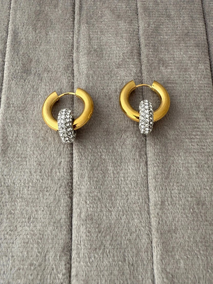 Angel Hoops Earrings - Diatoms