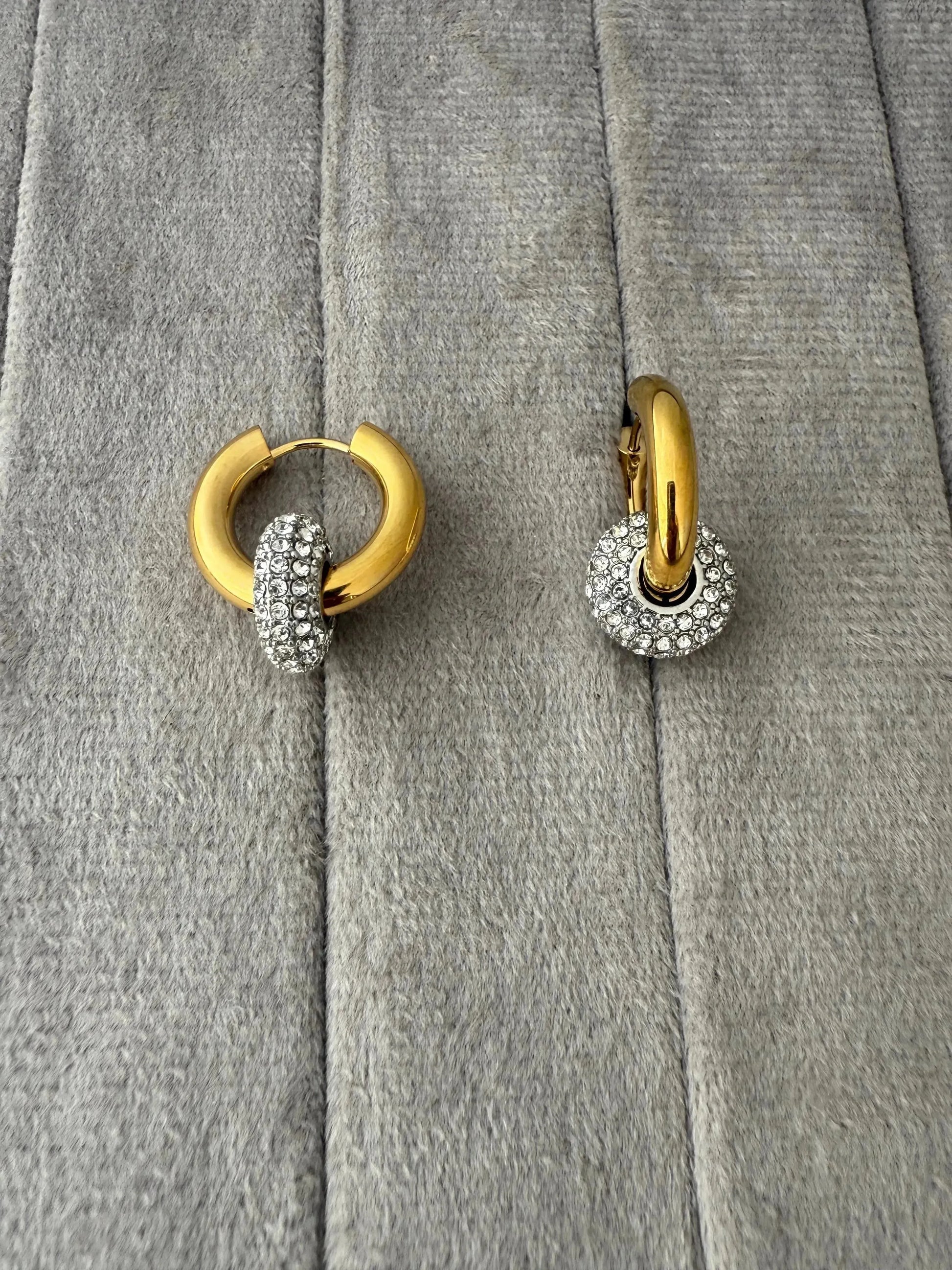 Angel Hoops Earrings - Diatoms