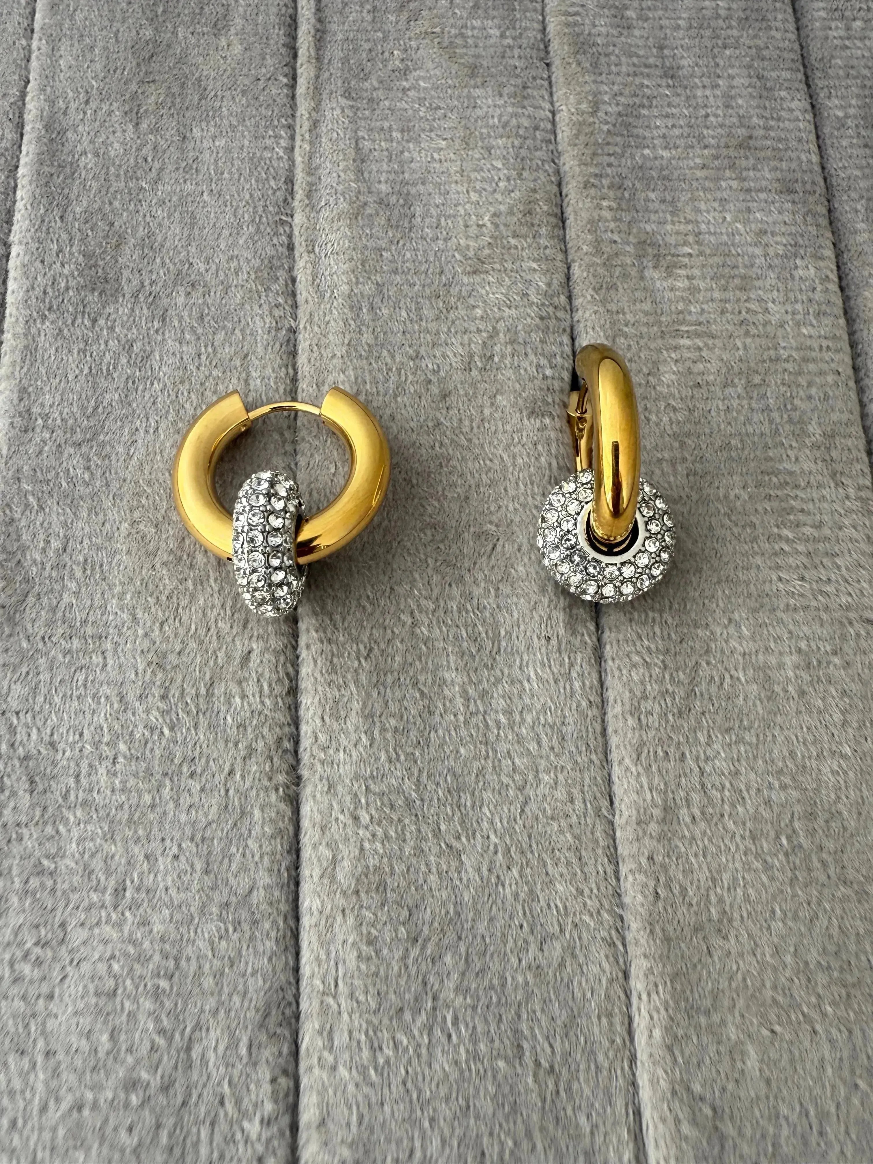 Angel Hoops Earrings - Diatoms
