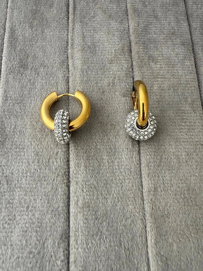 Angel Hoops Earrings - Diatoms
