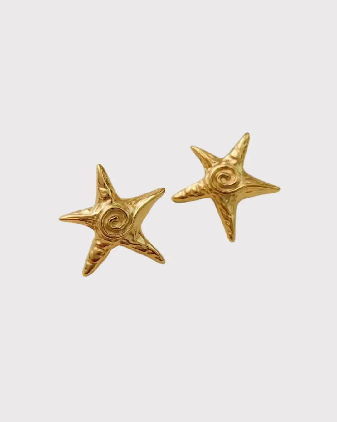 Beach Style Starfish Earrings - Diatoms