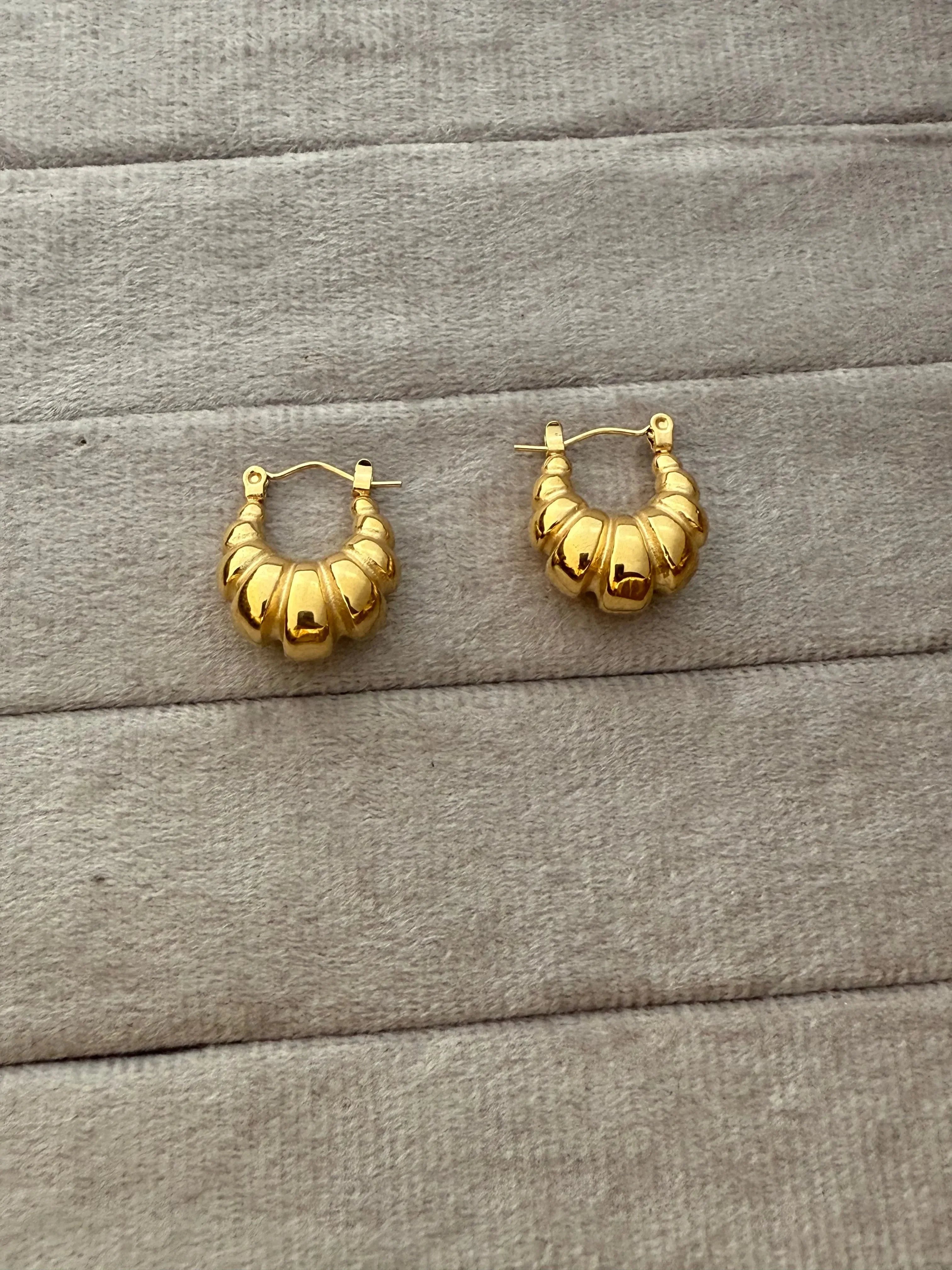 U Shape Earrings - Diatoms