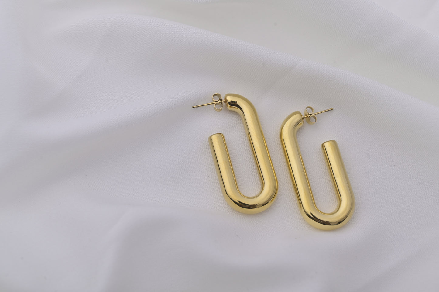 Diatomique Elegance Earrings