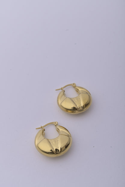 Golden Dazzle Hoop Earrings