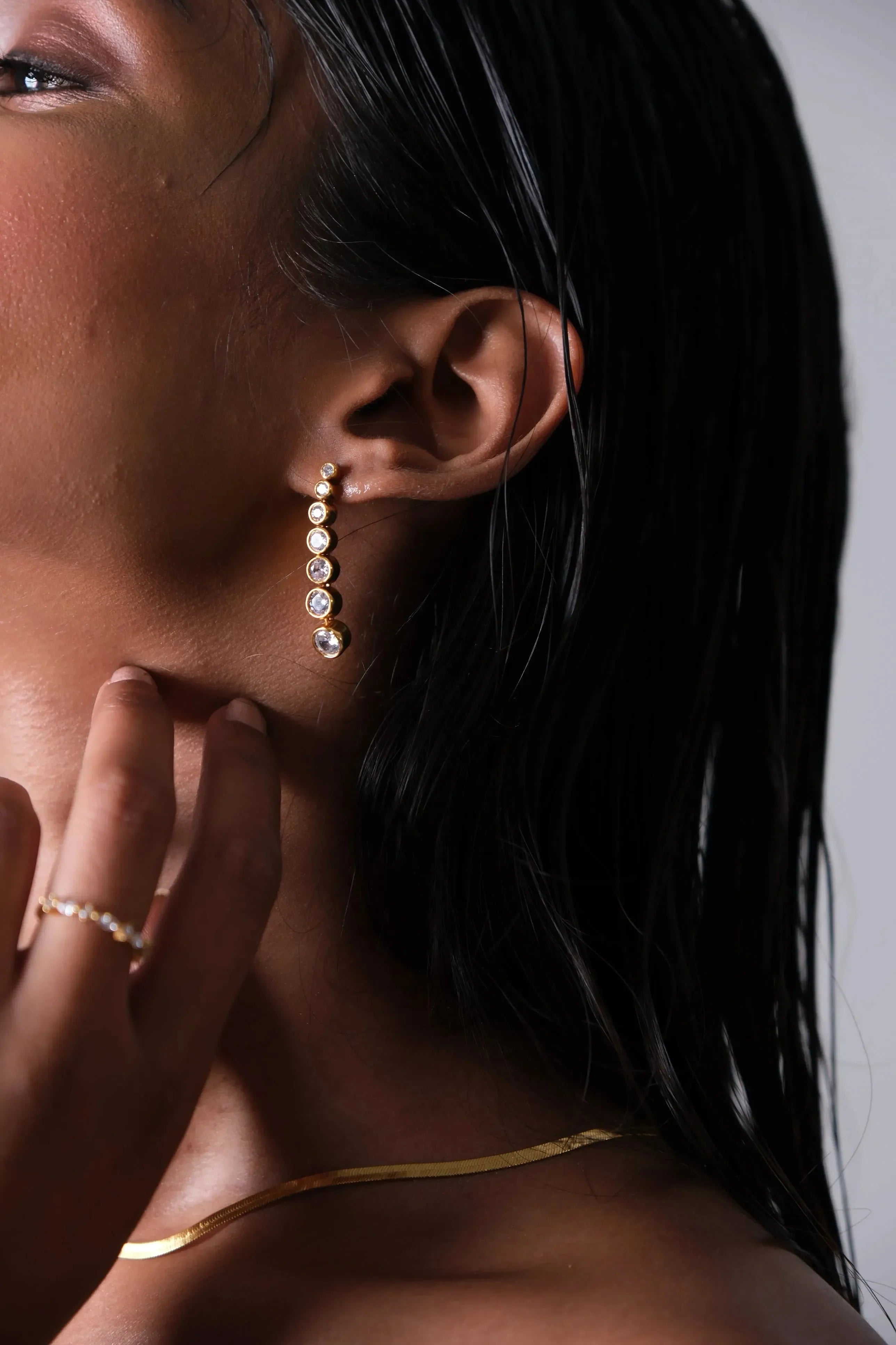 Luxurious Diamond Duet Earrings - Diatoms