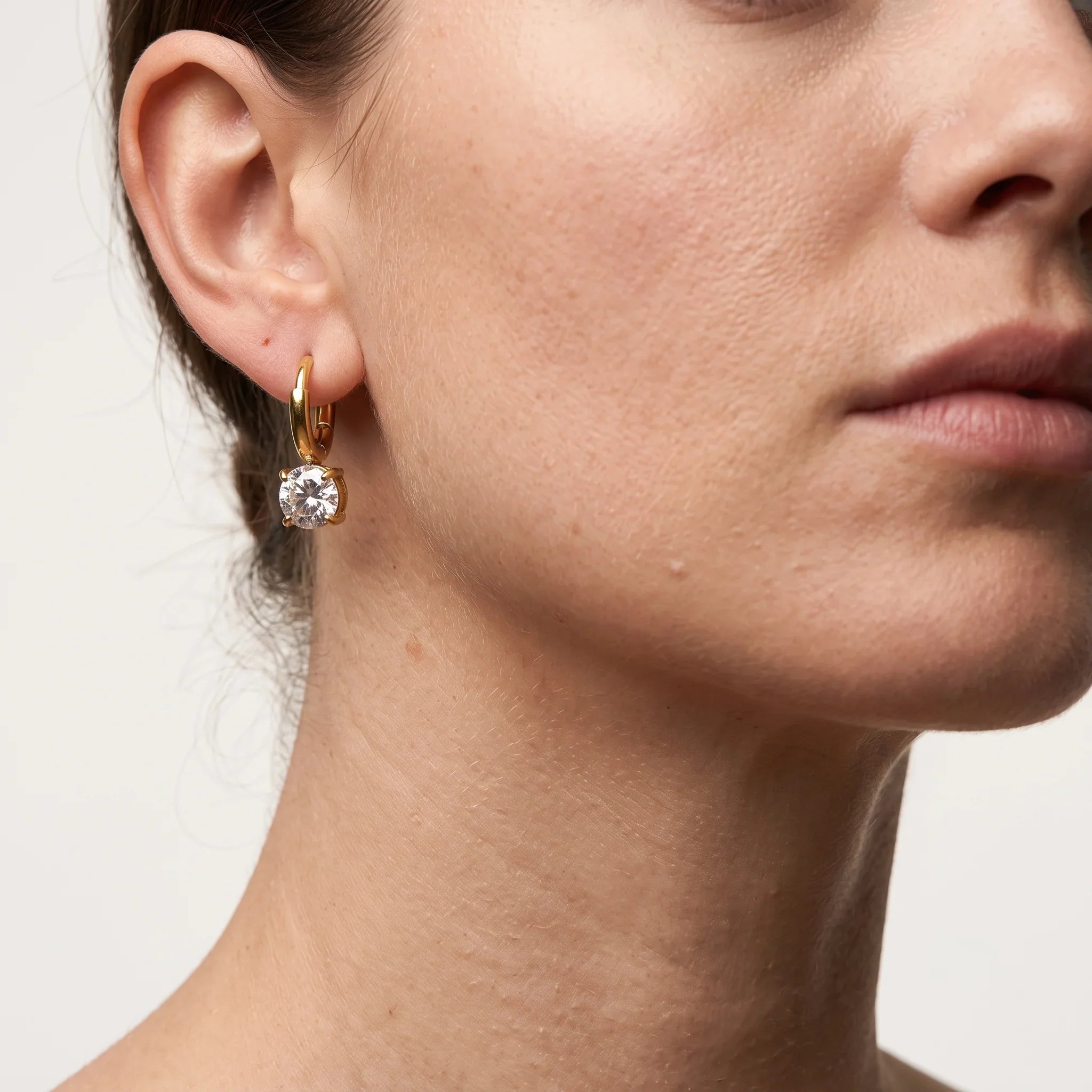 Diatoms Elegant Commute Earrings