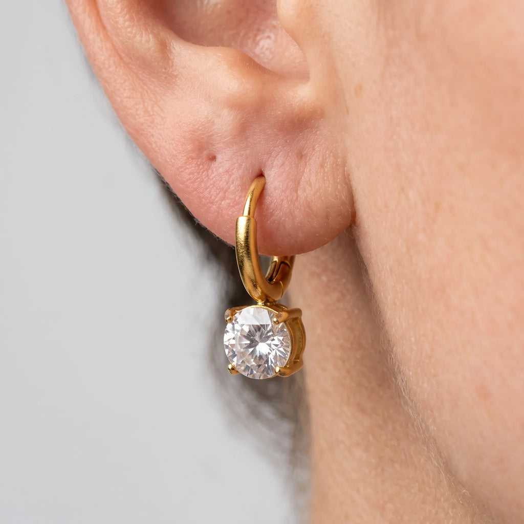 Diatoms Elegant Commute Earrings