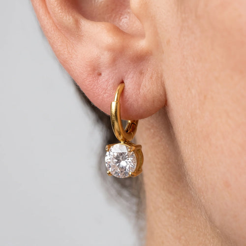 Diatoms Elegant Commute Earrings
