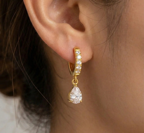 Diatoms Embedded Waterdrop Earrings