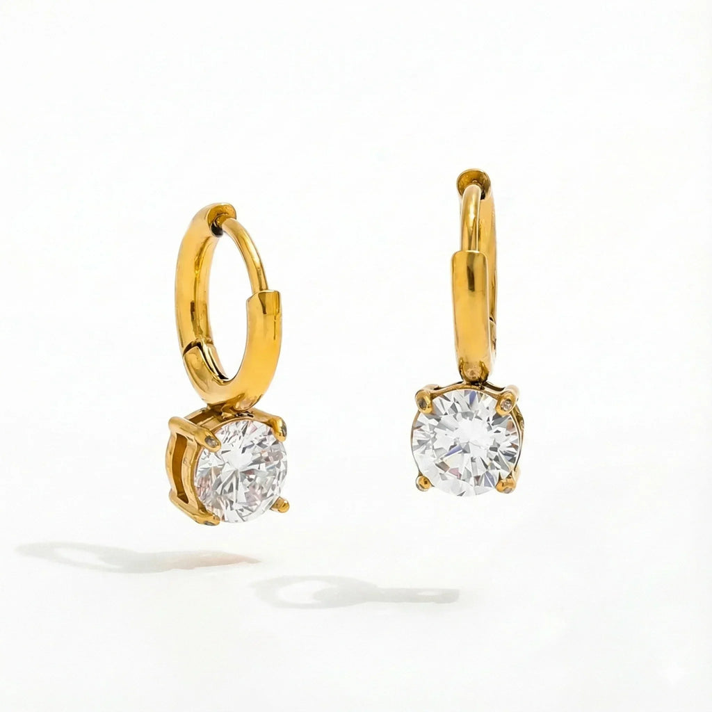 Diatoms Elegant Commute Earrings