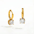 Diatoms Elegant Commute Earrings