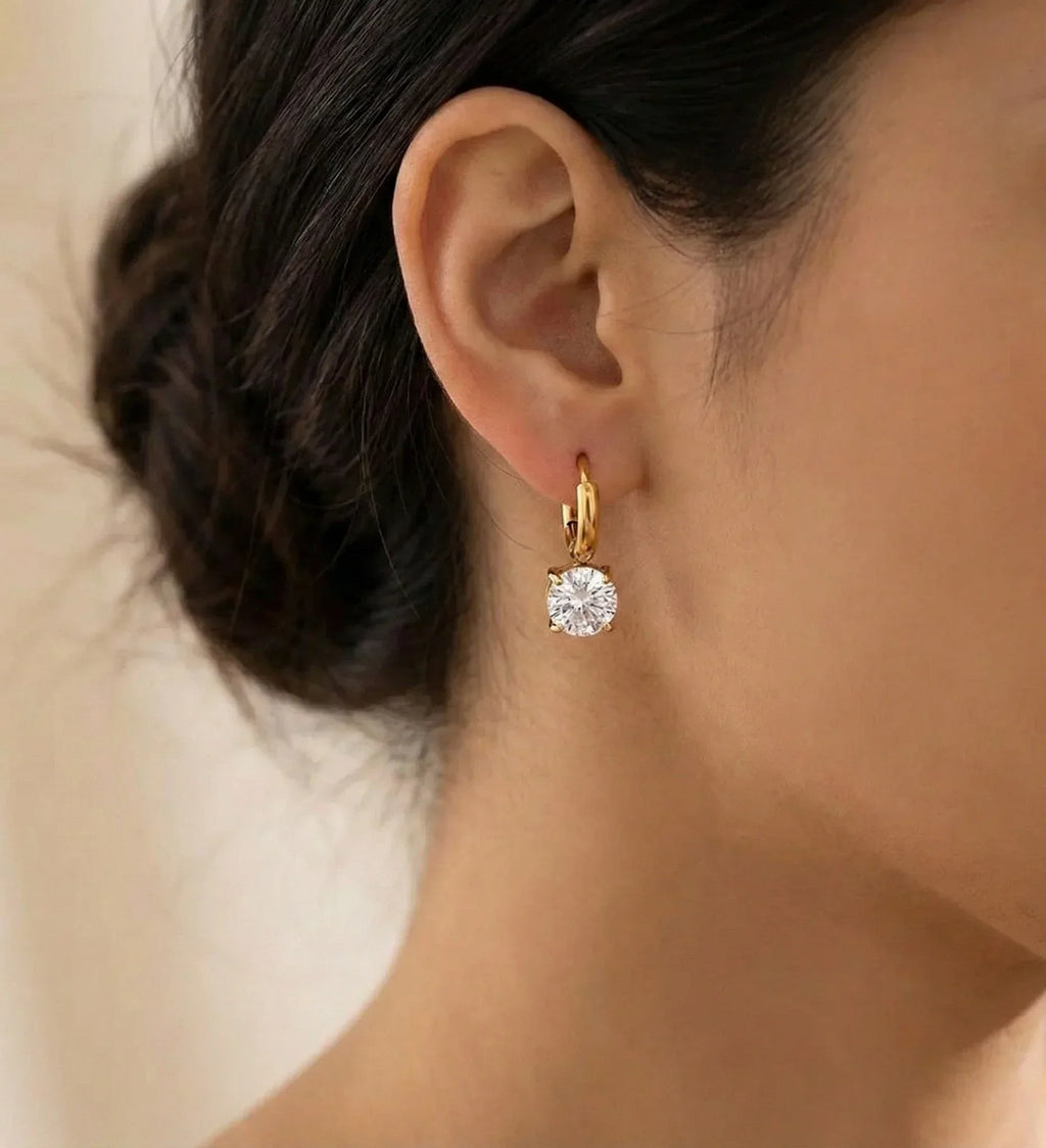 Diatoms Elegant Commute Earrings
