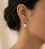Diatoms Elegant Commute Earrings