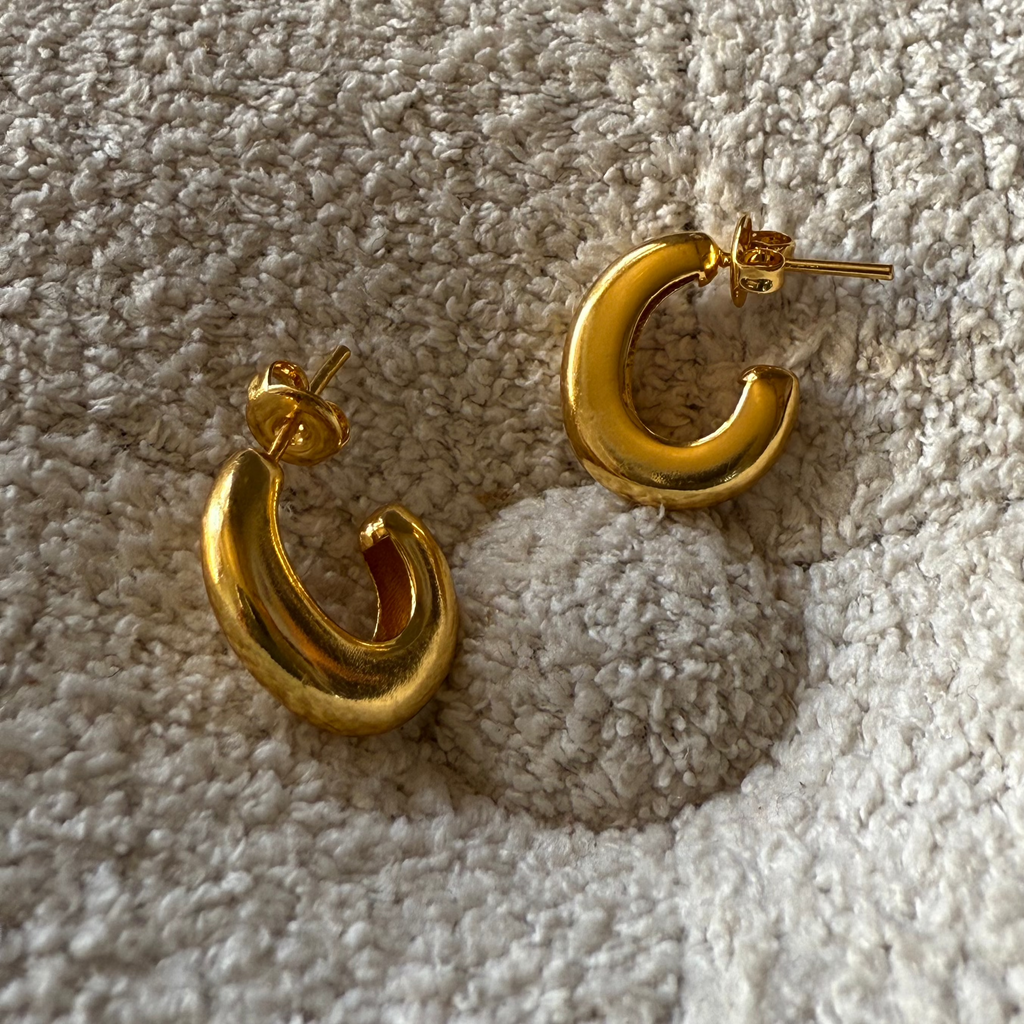 Prestigious Golden Luster Earrings - Diatoms