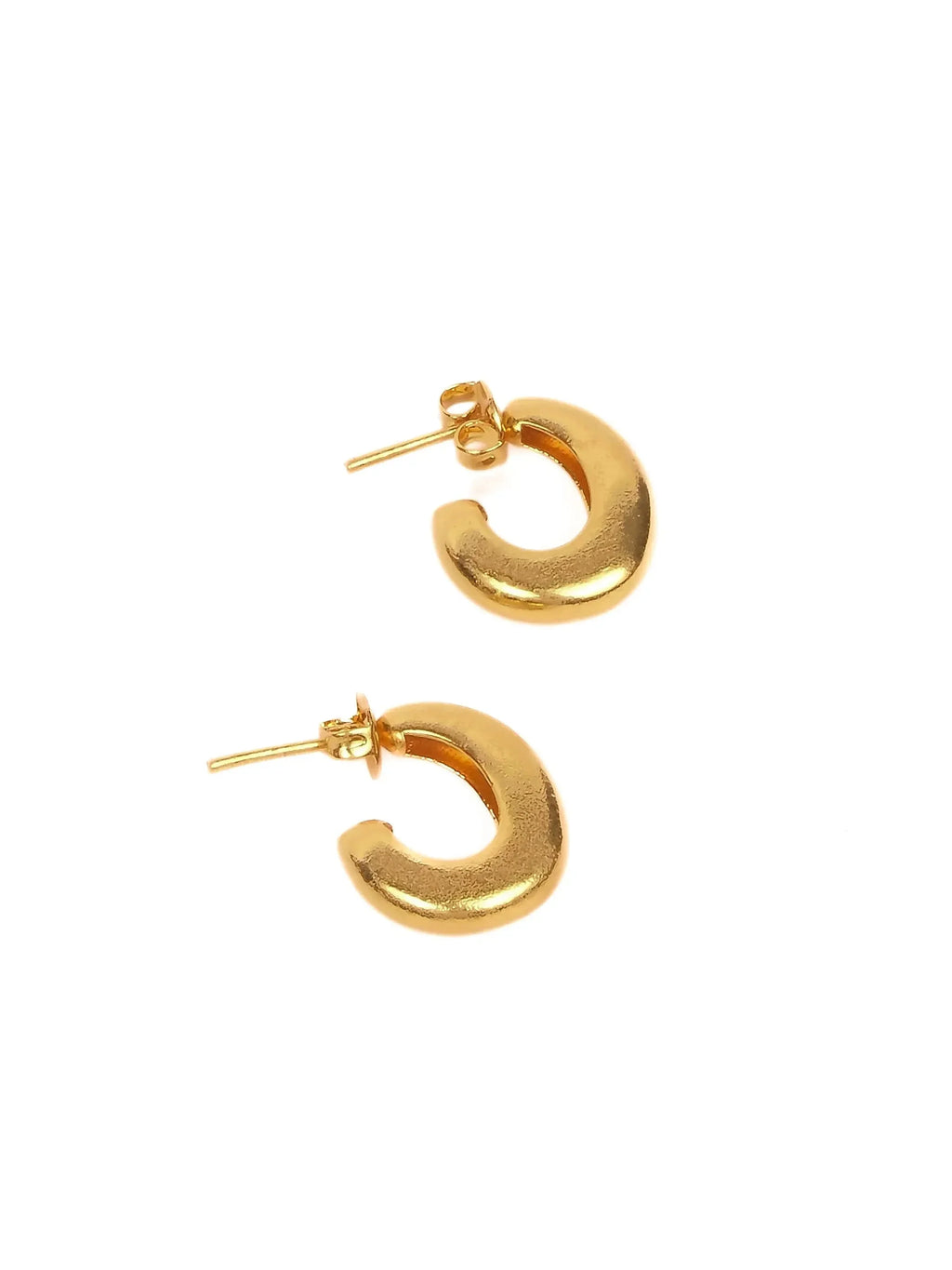 Prestigious Golden Luster Earrings - Diatoms