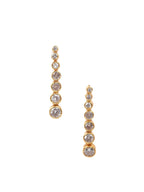 Luxurious Diamond Duet Earrings - Diatoms