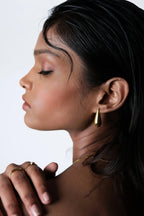 Dazzling Gold Drop Earrings - Diatoms