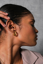 Prestigious Golden Luster Earrings - Diatoms