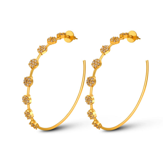 Luxe Elegant Hoop Earrings - Diatoms