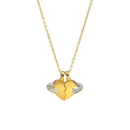 Diatoms Valentine Gesture Heart Shape Pendant - Diatoms
