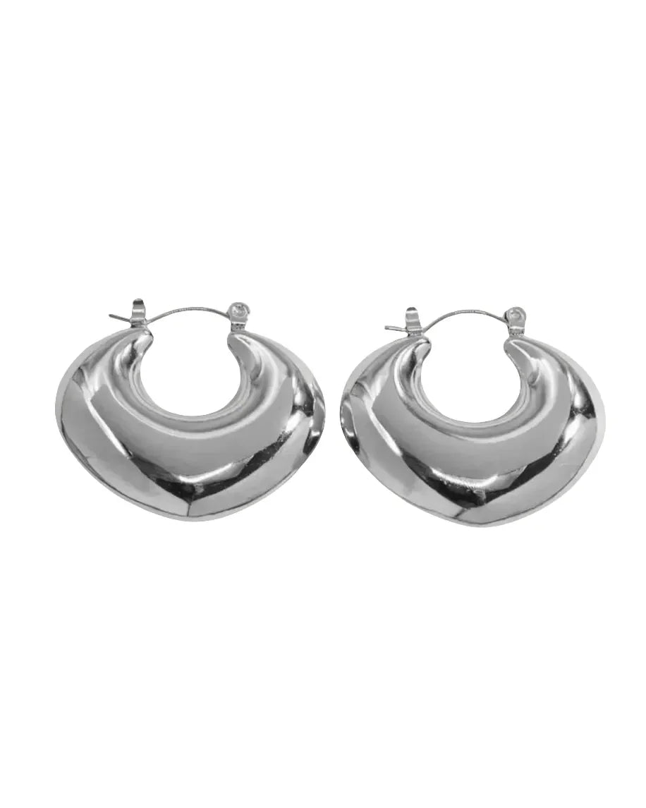 Luxe Silver Dangles Earrings - Diatoms