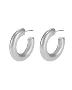 Exquisite Silver Circles Earrings - Diatoms