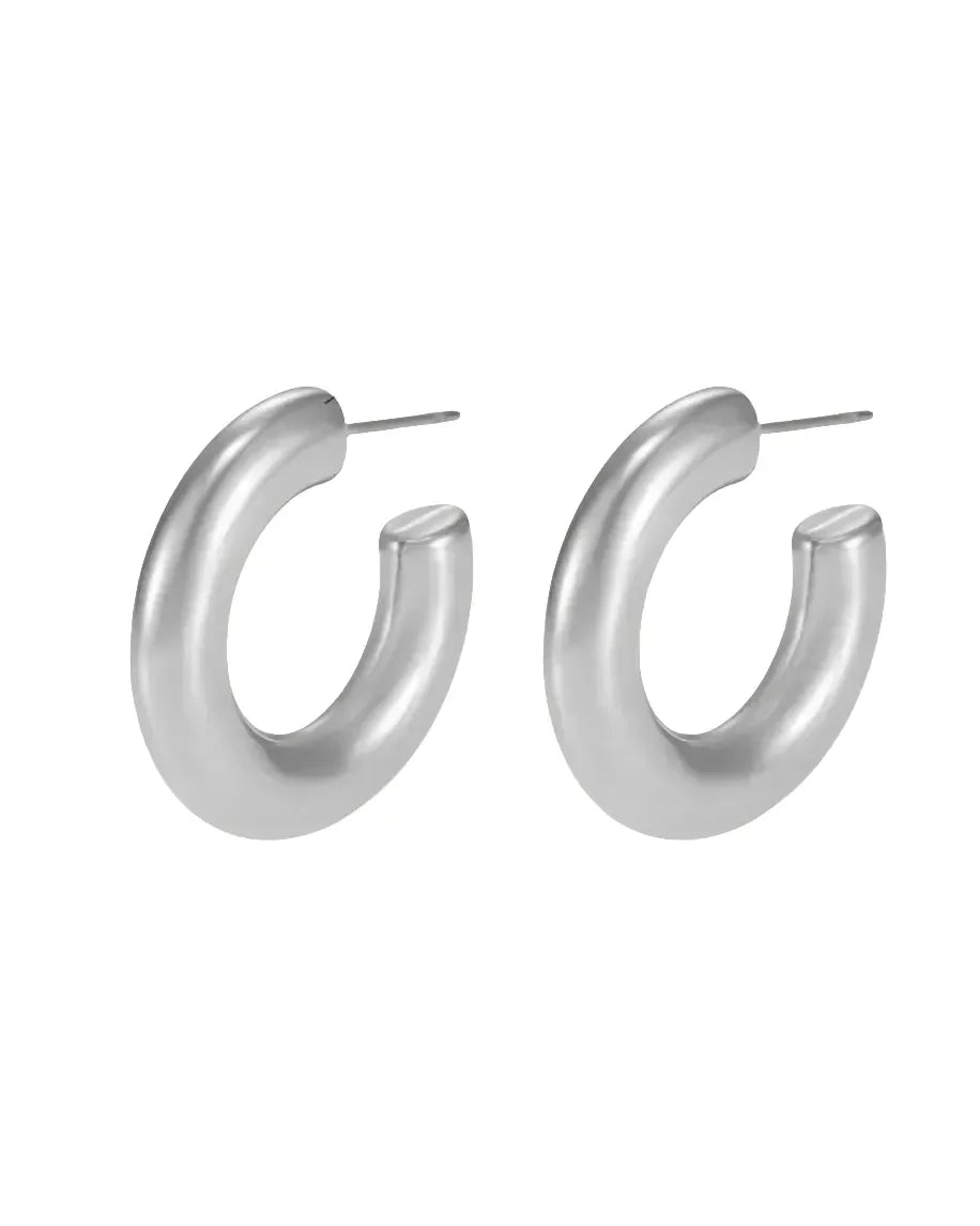 Exquisite Silver Circles Earrings - Diatoms