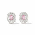 Ovale Blush Earrings