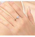 World Of Magnificent Silver Rings - Diatoms