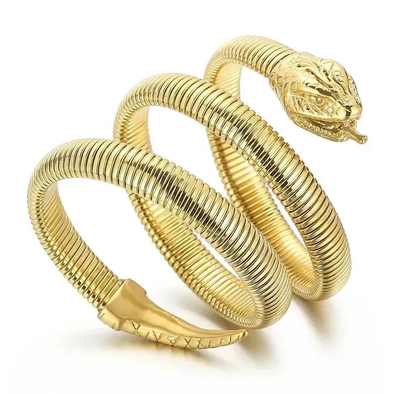 Snake Coil Inspired Unisex Bangle - Diatoms
